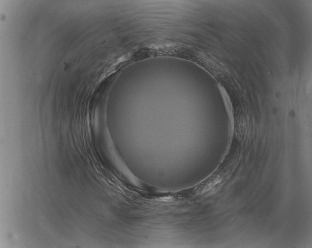 X0000062621010200512211157