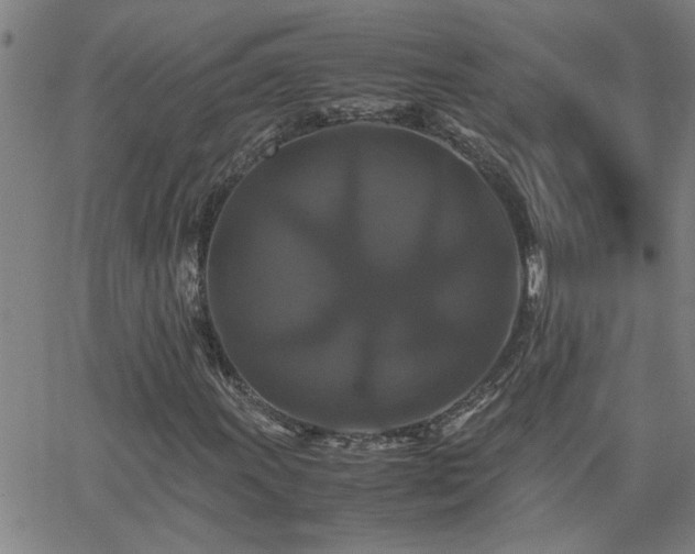 X0000062621011200512211157