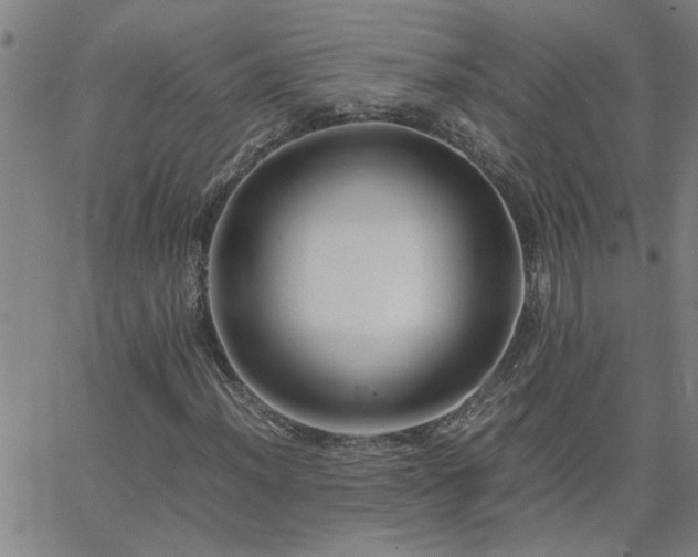 X0000062621012200512211157