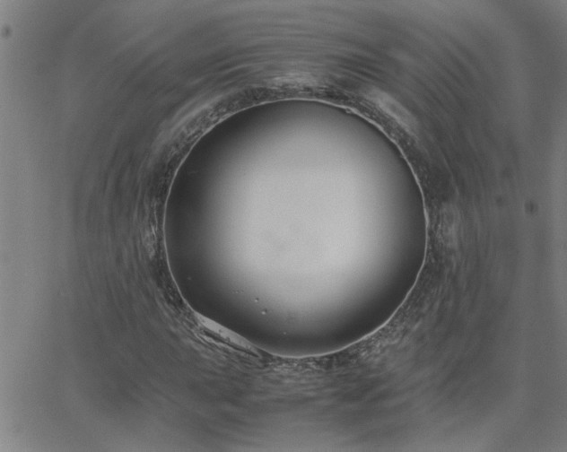 X0000062621015200512211157