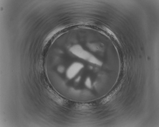 X0000062621019200512211157