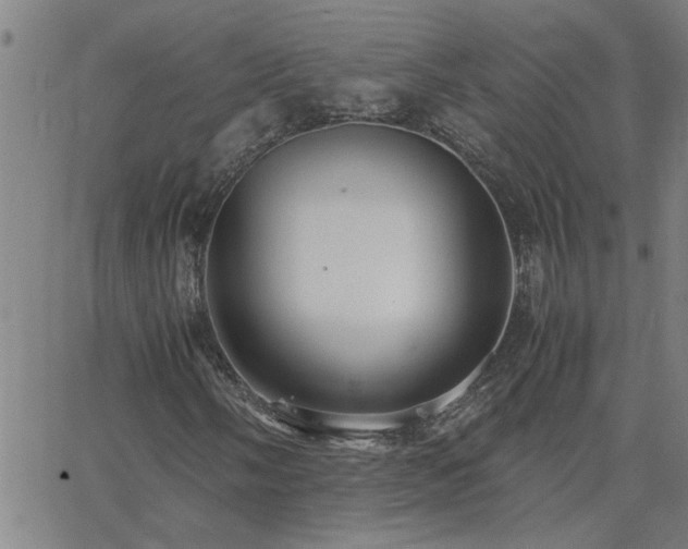 X0000062621058200512211157