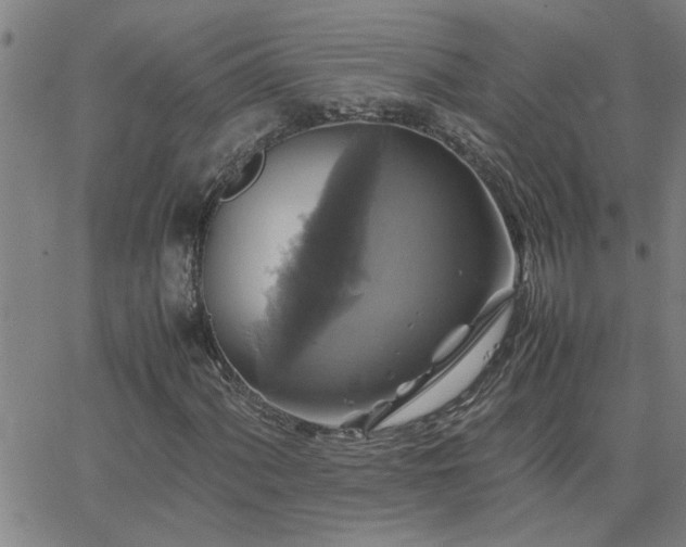 X0000062621060200512211157