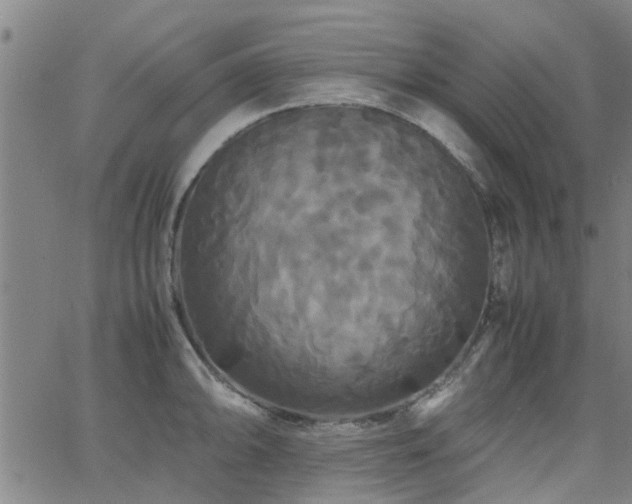 X0000062621094200512211156