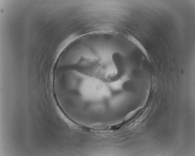 X0000062621099200512211156