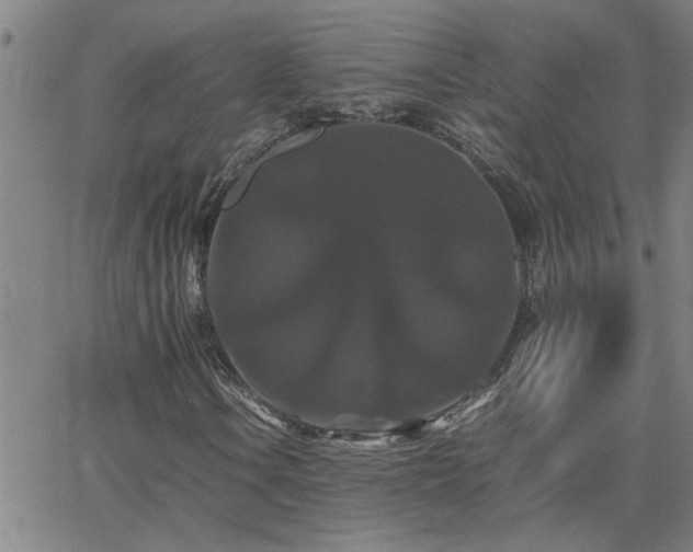 X0000062621106200512211155