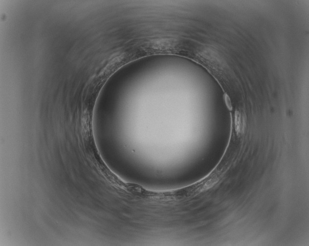X0000062621107200512211155