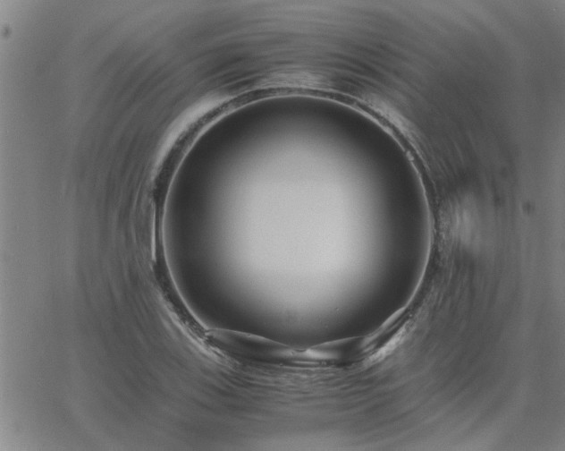X0000062621123200512211156