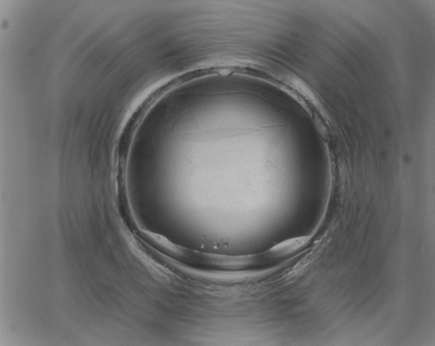 X0000062621124200512211156