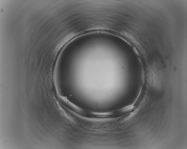 X0000062621129200512211156