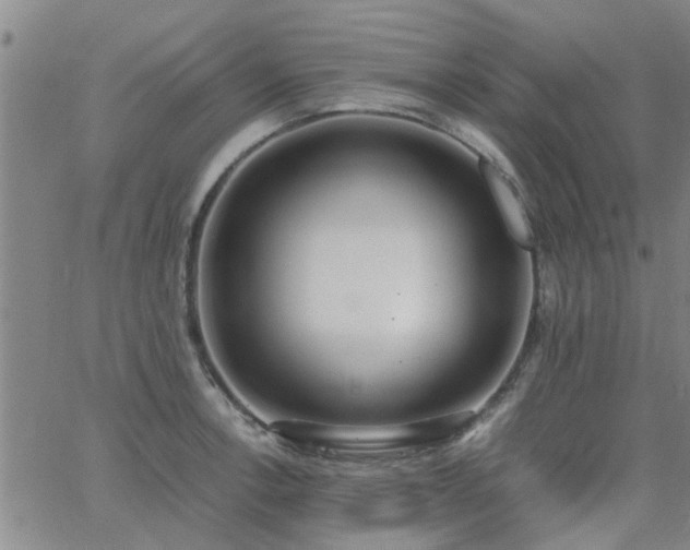 X0000062621138200512211156