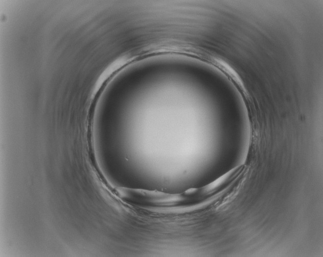 X0000062621146200512211156