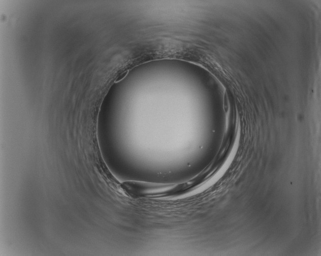 X0000062621153200512211155