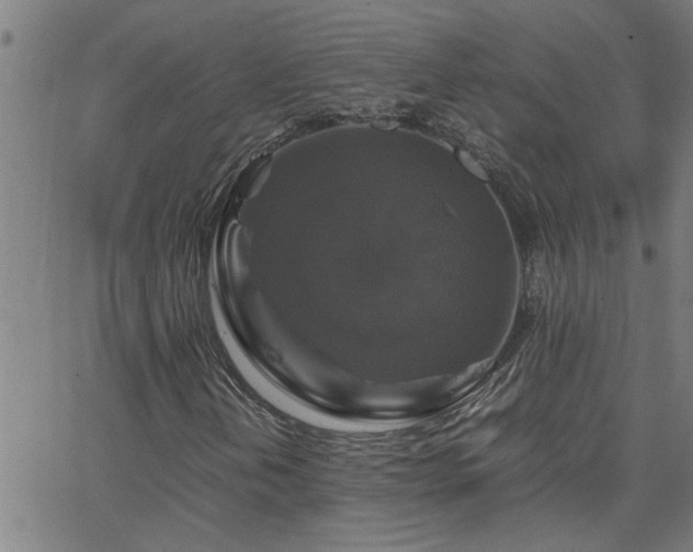 X0000062621202200512211154