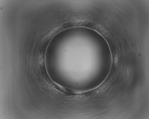 X0000062621204200512211154