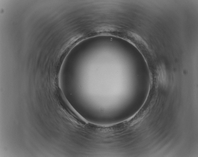 X0000062621217200512211154