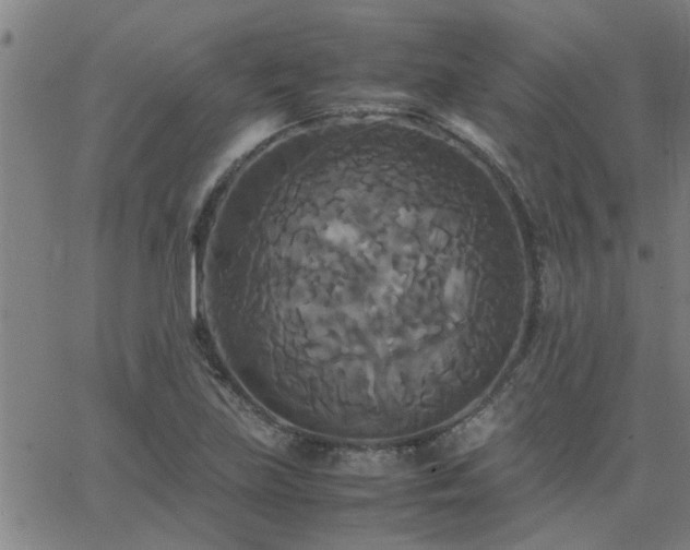 X0000062621219200512211154