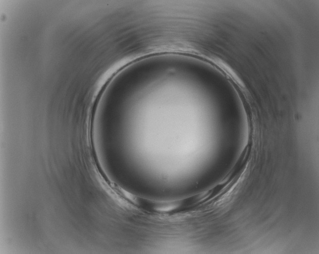 X0000062621246200512211155