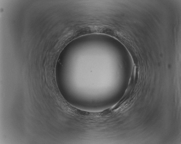X0000062621249200512211154
