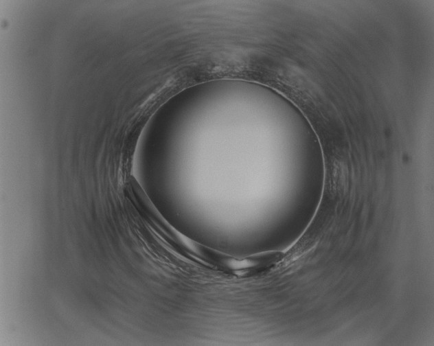 X0000062621250200512211154