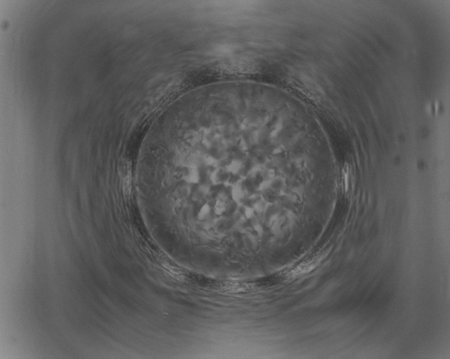 X0000062621251200512211154