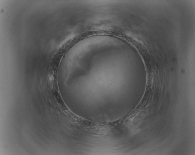 X0000062621254200512211154