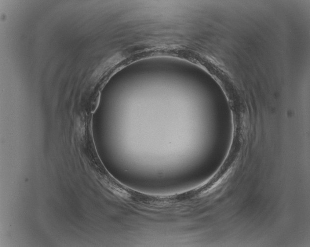X0000062621257200512211154