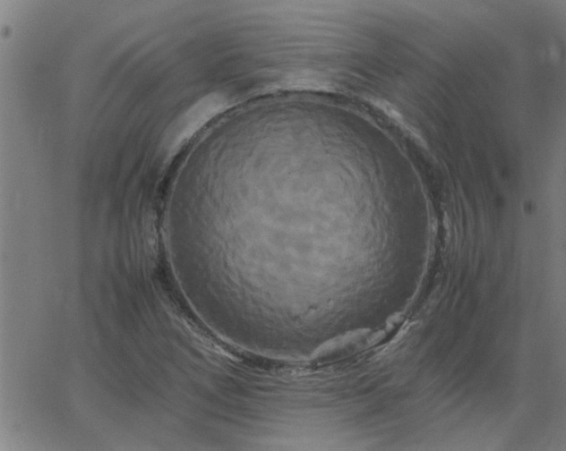 X0000062621266200512211154