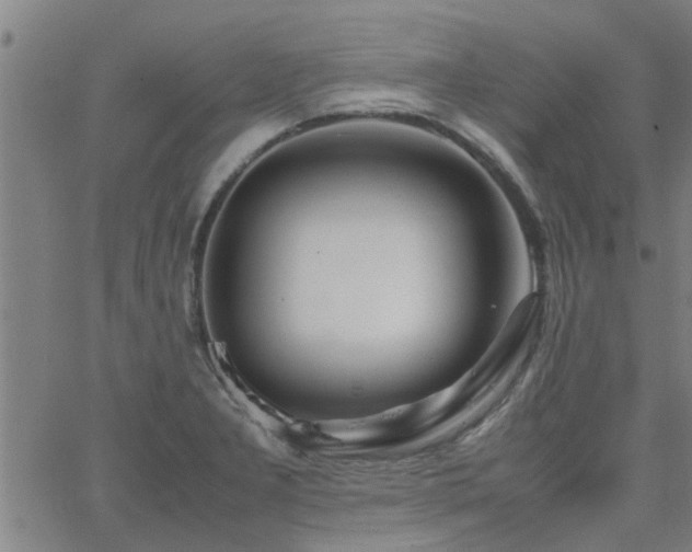 X0000062621277200512211153