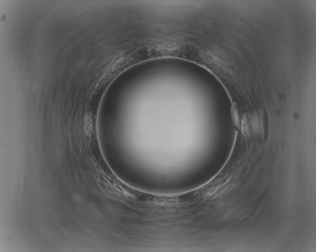 X0000062621299200512211152