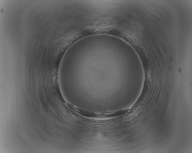 X0000062621300200512211152
