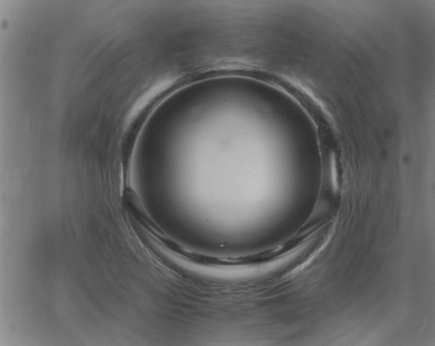 X0000062621317200512211152