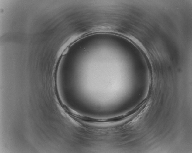 X0000062621341200512211153