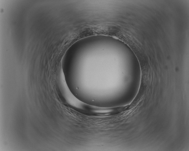 X0000062621345200512211152