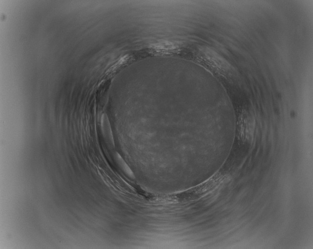 X0000062621346200512211152