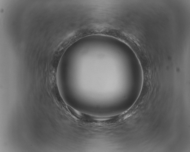 X0000062621349200512211152