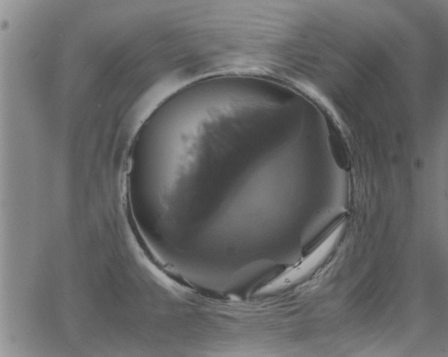 X0000062621383200512211151