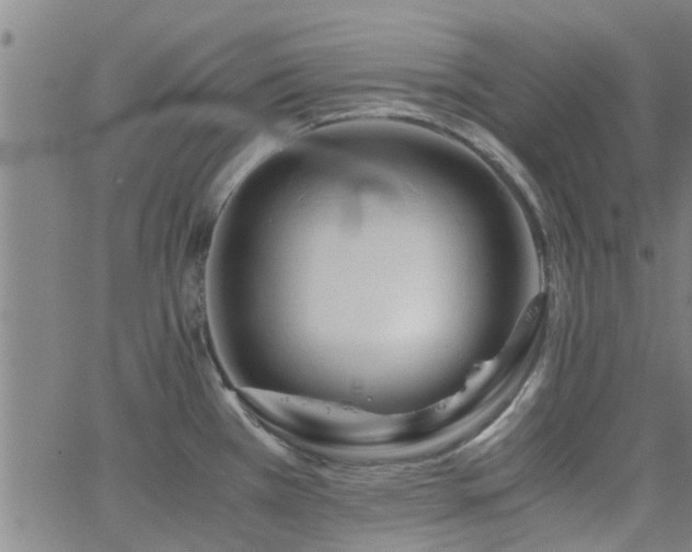X0000062621385200512211151