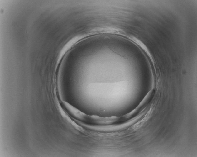 X0000062621389200512211151
