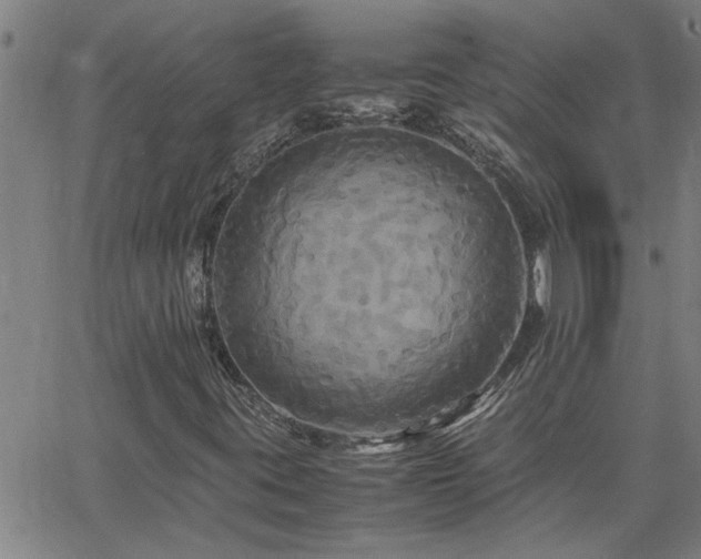X0000062621395200512211150