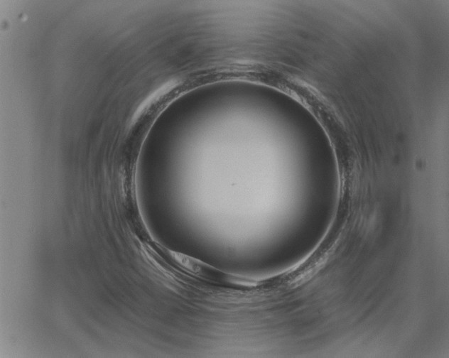 X0000062621402200512211151