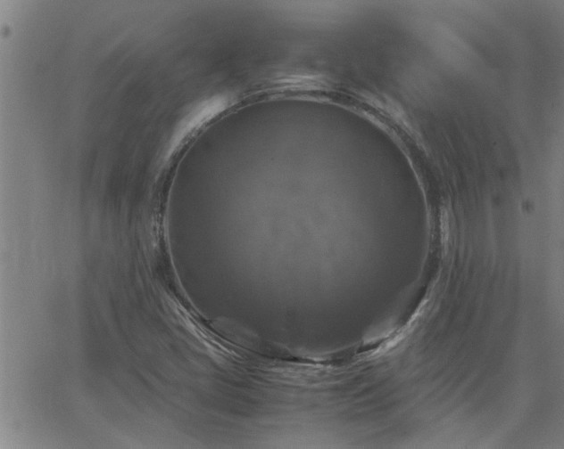 X0000062621405200512211151