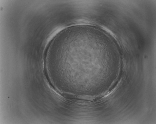 X0000062621415200512211151