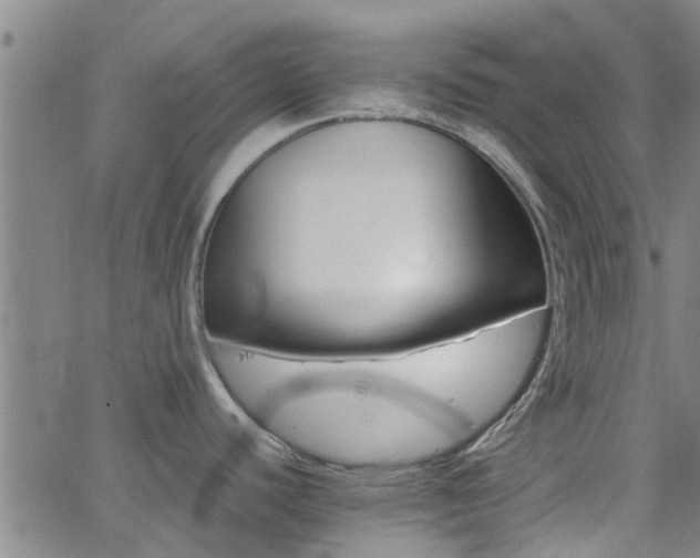 X0000062621440200512211151