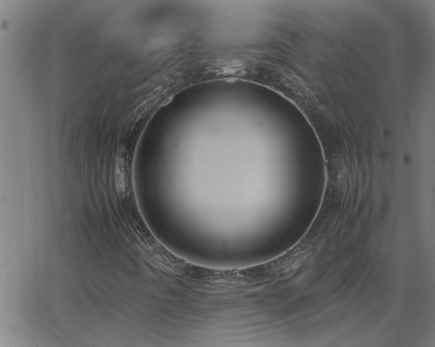 X0000062621442200512211150