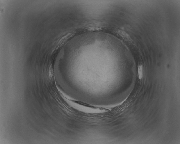 X0000062621444200512211150