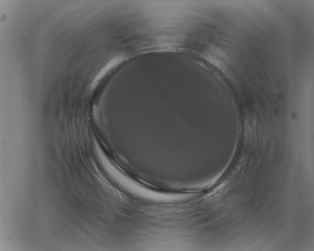 X0000062621450200512211150