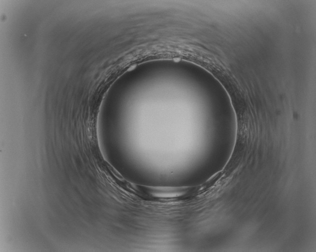 X0000062621490200512211149