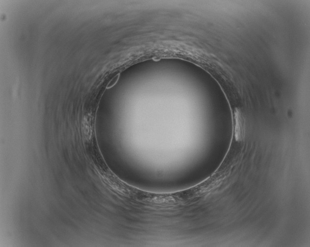 X0000062621491200512211149