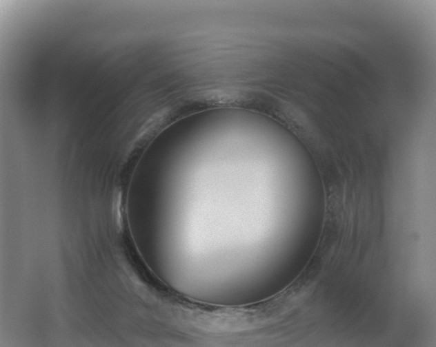 X0000062620024200512230958